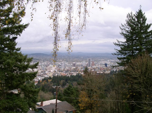 11.13.05 Arboretum-Pittock Mansion-Macleay Park 016 